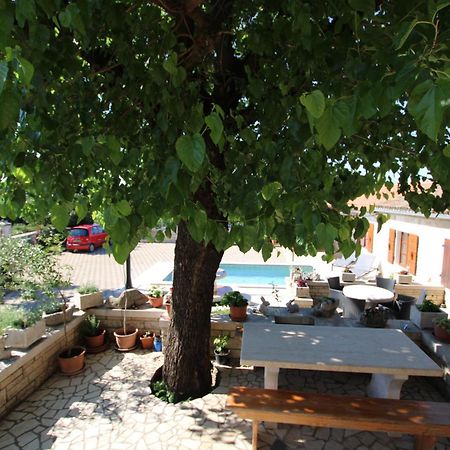 Apartments Vesna With Pool - New! Sveti Lovreč Pazenatički Bagian luar foto